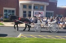 Private Chattanooga Horse & Carriage Tour