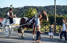Private Chattanooga Horse & Carriage Tour