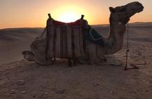 Private Camel Riding Tour of Giza Pyramids at Sunset with Local Bedouin Dinner