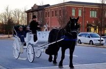 Private Chattanooga Horse & Carriage Tour