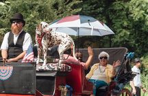 Private Chattanooga Horse & Carriage Tour
