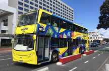 Auckland Explorer: Sightseeing Hop-on Hop-off Tour 