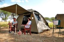 6 Days Budget Tanzania Camping Safari