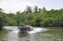 Bentota City Tour