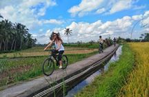 Explore Ubud with Electric Bike