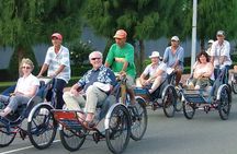 Ho Chi Minh City Shore Excursions from Phu My Port