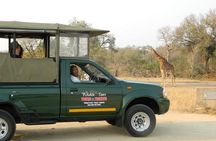 Shared Full Day Guided Safari Tour Visit to Kruger National Park 