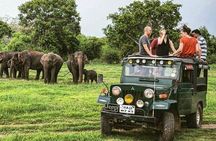 Wildlife and Nature Tour (18 Days , 17 Nights)