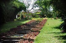 Exclusive: Geoffrey Bawa Gardens and Architecture Tour