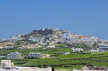 Santorini Shore Excursion: Private Tour of Oia and Fira, including Museum of Prehistoric Thira and Wine Tasting