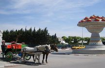 Cap Bon Guided Day Tour from Tunis