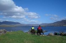 Killarney National Park Horseback Ride. Co Kerry. Guided. 1 hour.