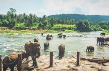 Kandy city tour for couple price 