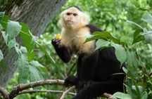 Nature Tour in Panama 6 Days of Adventure and Wildlife