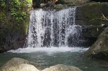 Nature Tour in Panama 6 Days of Adventure and Wildlife
