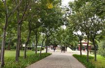 All inclusive Anyang Yin Xu ruins and Character Museum day tour from Zhengzhou