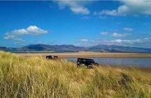 Killarney National Park Horseback Ride. Co Kerry. Guided. 2 hours.