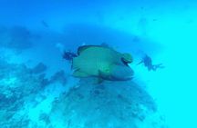 Intro Scuba Diving