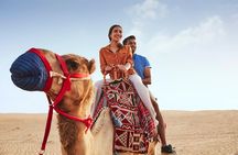 Evening Abu Dhabi Desert Safari & BBQ Dinner- Standard Tour 