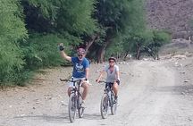 3-Day Tour of Cachi, Laguna Brealito and National Park Los Cardones