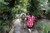 Dilly Dally Walking Tour of Nassau Attractions
