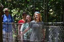 Hanging Bridges-Volcano Walk with Night Tour