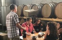 Hvar Small Group Wine Tour and Authentic Dalmatian Dinner