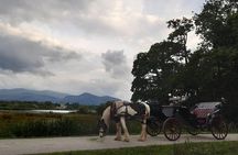 Killarney National Park Tour