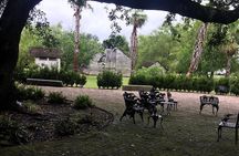 Whitney Plantation Private Tour With Round-Trip Transportation