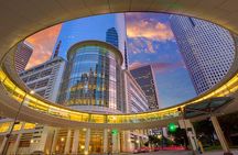 Houston's Official City & Mural Tour!