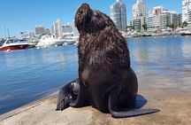 Full Day Punta del Este 