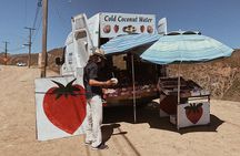 Private Vintage VW Hippie Tour to Malibu with wine tasting