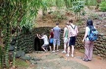 Cu Chi Tunnels Shore Excursion from Phu My Port
