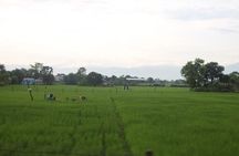 Kathmandu Chitwan Pokhara Tour