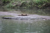 Kathmandu Chitwan Pokhara Tour