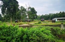 Kathmandu Chitwan Pokhara Tour