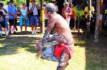 Tiwi By Design Day Tour