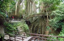 Ubud Sacred Monkey Forest & Art Village Tour
