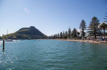 4hr Shore Excursion - History and Tasting Tour FREE Kiwifruit Tasting