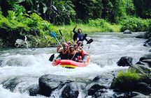 Rafting With VW ( Volkswagen ) Transfer