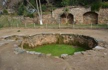 Izmir Shore Excursion: Private Tour to Ephesus, House of Virgin Mary and Temple of Artemis