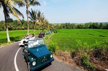 Rafting With VW ( Volkswagen ) Transfer