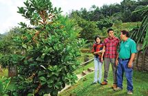 Penang Tropical Fruit Farm with Fruit Tasting