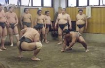 Tokyo Sumo Morning Practice Tour at Stable