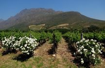 Cape Town Winelands Stellenbosch Private Afternoon Tour