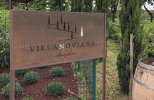 Discovering the Bolgheri vineyards and tasting local products 
