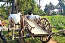 Rural Village with Ox Cart Journey & Monk Blessing