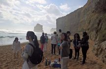 Great Ocean Road Full Day Private Experience