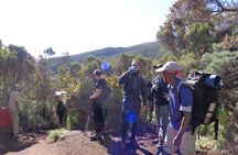 8 Days 7 Nights Kilimanjaro Lemosho Route