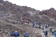 8 Days 7 Nights Kilimanjaro Lemosho Route